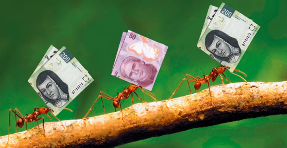 ¿Qué son los gastos hormiga?